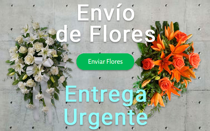 Envío de flores urgente a Tanatorio Coslada